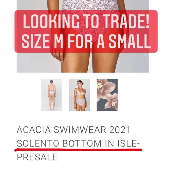 Acacia 2021 - Picture 1 of 1